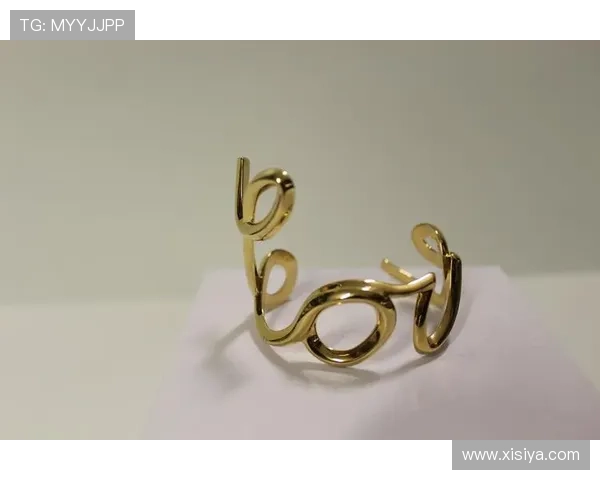 皇冠手机会员端app最新版本上线，全面优化界面操作提升会员体验