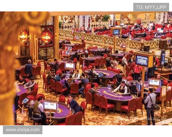 澳门皇冠赌场玩家评论心得分享，真实体验助力新手快速上手