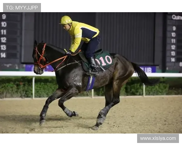 澳门赛马比赛中的安全规程与规则执行细节全景介绍 澳门赛马比赛中的安全规程与规则执行细节全景介绍