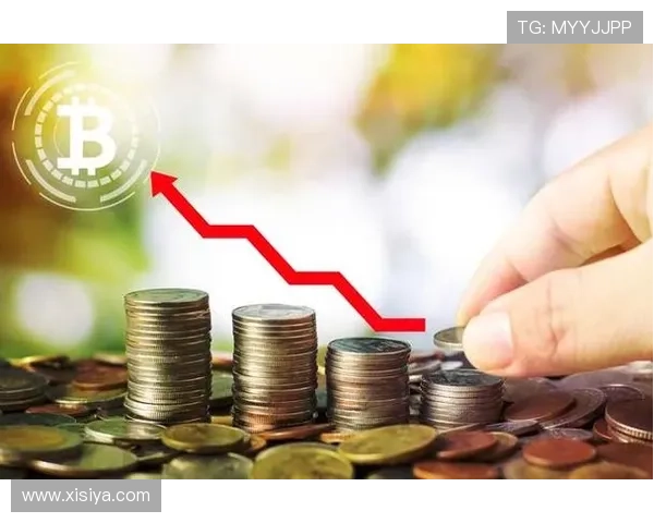 提升马会投注盈利能力的实用策略，助你实现长期稳定的收益目标