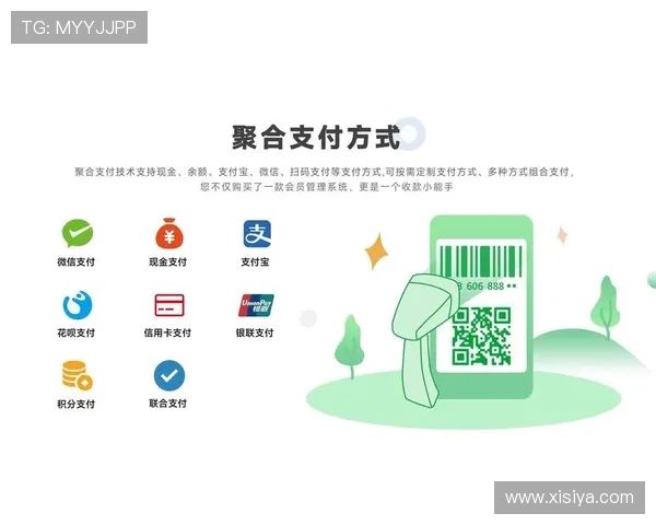 皇冠娱乐城支付方式详解多样化支付渠道保障资金快速到账 皇冠娱乐城支付方式详解多样化支付渠道保障资金快速到账